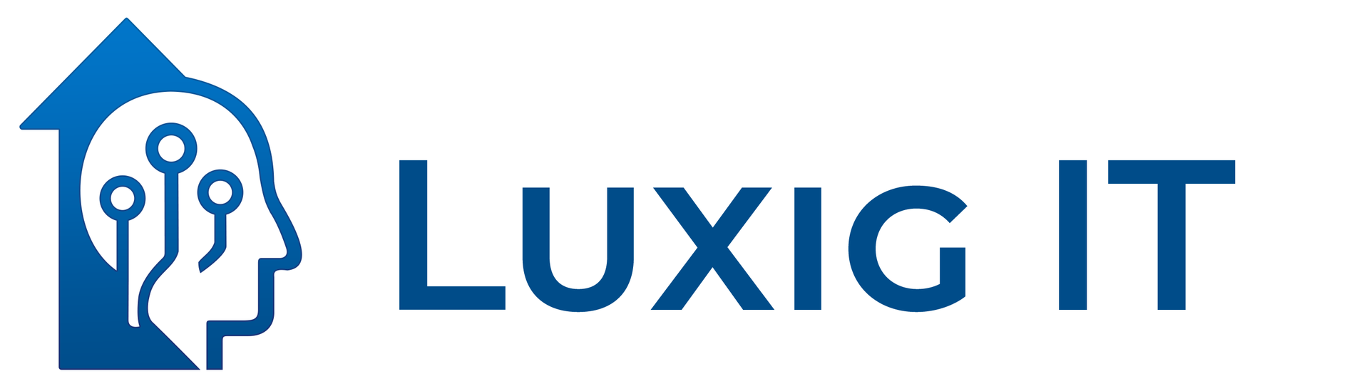 Luxig IT